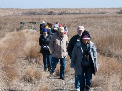 400x300 variant of PLP members hiking up a hill.